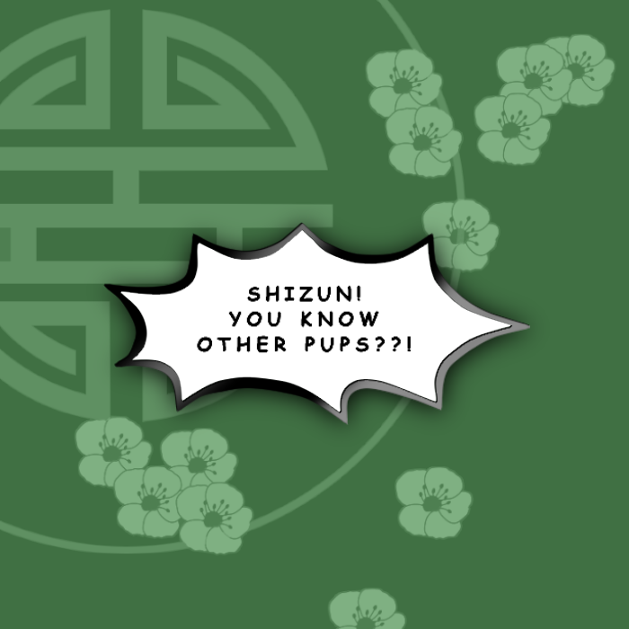 Shizun! You know other pups??! pin